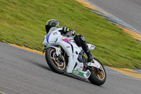 PJ-Motorsport-2019;anglesey-no-limits-trackday;anglesey-photographs;anglesey-trackday-photographs;enduro-digital-images;event-digital-images;eventdigitalimages;no-limits-trackdays;peter-wileman-photography;racing-digital-images;trac-mon;trackday-digital-images;trackday-photos;ty-croes